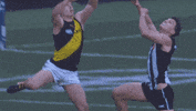 footy flynn GIF by CollingwoodFC