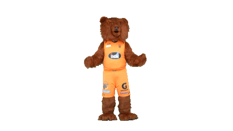 Sport Bear Sticker by Basket_fi