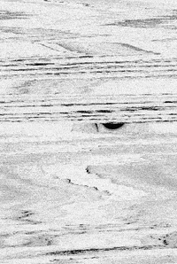 glitch artists on tumblr GIF by Liaizon Wakest