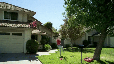 GIF by EXPELLED