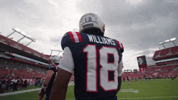 Kyle Williams Football GIF by New England Patriots