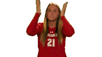 Annoy Wisconsin Volleyball Sticker by Wisconsin Badgers