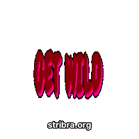 Get Wild Fun Sticker by stribra
