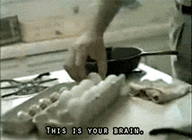 this is your brain on drugs 80s GIF