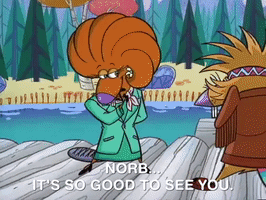 nickrewind nicksplat angry beavers GIF