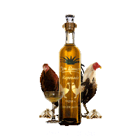 CasaDonRamon gold surreal tequila diamante Sticker