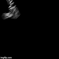 properprep  GIF