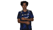 Ice Cold Sticker by Bundesliga