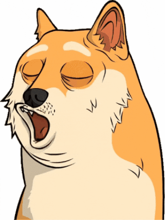 Scared Gasp GIF by Doge Pound