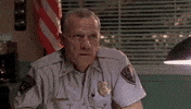 Upvote GIF by Imgur
