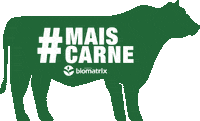 Bmx Qualidade Sticker by Sementes Biomatrix