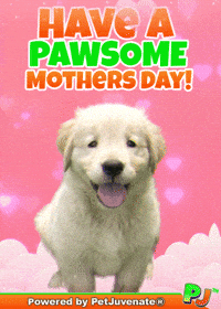 Mothers Day Taylor GIF by PetJuvenate - PJ