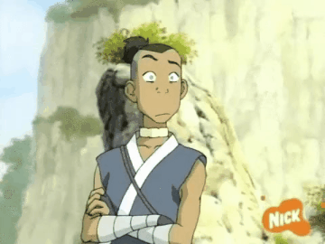 avatar the last airbender wtf GIF
