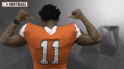 Cnfb GIF by Carson-Newman Athletics