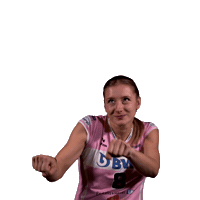 Sm_Aesch volleyball smaesch hoppsmaesch Sticker