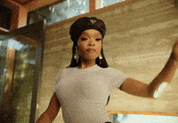 Lolabrookemusicvideo GIF by Lola Brooke