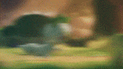 Pokemon Tcg Running GIF by Pokémon