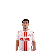 1 Fc Cologne Soccer Sticker by 1. FC Köln