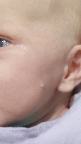 WWA69fartz giphygifmaker GIF