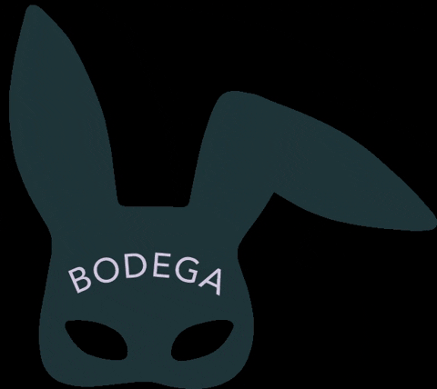 bodegabunnies giphygifmaker bunny nyc rabbit GIF