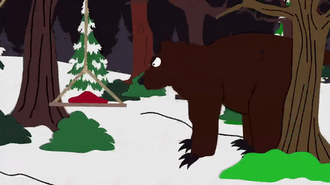 bear eating GIF by South Park 