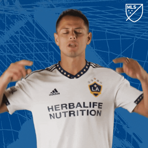 Celebrate Los Angeles GIF by Major League Soccer