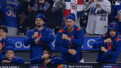 Baseball Celebrate GIF by New York Mets
