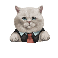 Cat Britishcat Sticker by British cats cattery and Apollo cat.