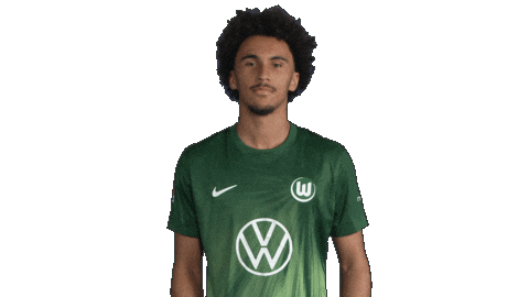 France Deal With It Sticker by VfL Wolfsburg
