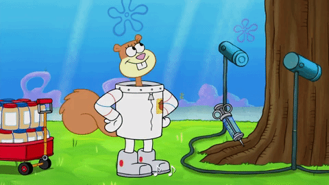 season 9 episode 23 GIF by SpongeBob SquarePants