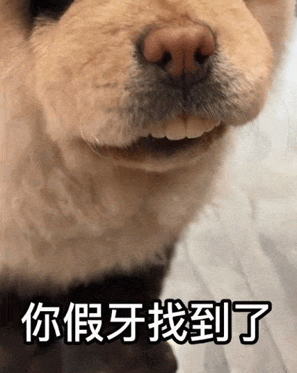 cuteanimalland giphyupload GIF