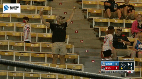 GIF by Richmond Flying Squirrels