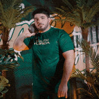 South Florida Horns Up GIF by USF Athletics