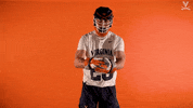 Uvamenslax GIF by Virginia Athletics