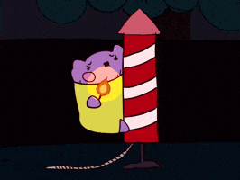Bottle Rocket GIF