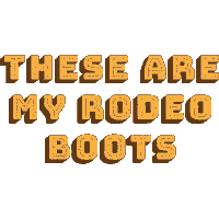 houston cowboy Sticker by Tecovas