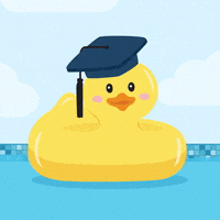 Graduation Graduate GIF by evite