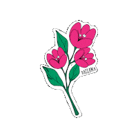 Flower Sticker by ÇeşmeBazlamaKahvaltı