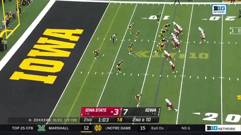DBSports giphygifmaker GIF
