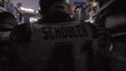 Football Nfl GIF by New England Patriots