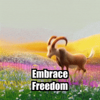 Wisdom Enlightenment GIF by Radiantelope