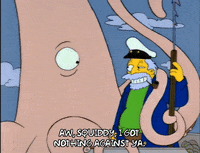 season 5 captain horatio mccallister GIF