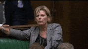 news brexit parliament house of commons brexit debate GIF