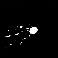 Bird Rm GIF
