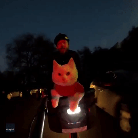 London Cyclist Takes Cat for a Ride