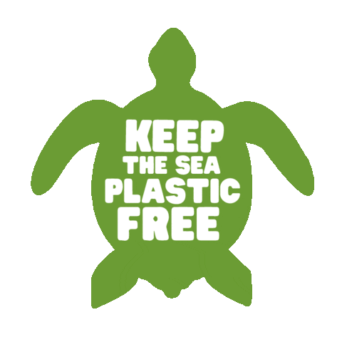 anasofiadg giphyupload sea playa mar Sticker