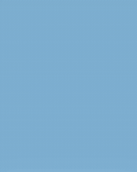 North Carolina Baseball GIF by UNC Tar Heels