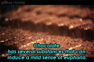 willy wonka and the chocolate factory GIF