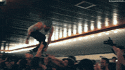 mosh moshing GIF