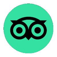 Travel Holiday Sticker by Tripadvisor